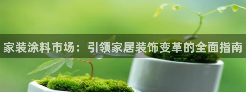 和记国际开户：家装涂料市场：引领家居装饰变革的全面指南