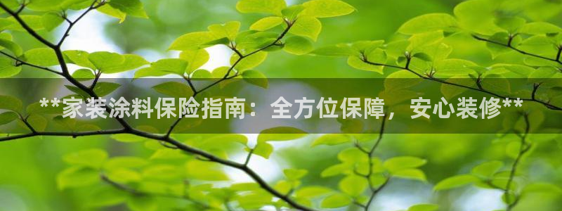 和记pc：**家装涂料保险指南：全方位保障，安心装修**