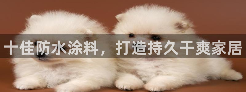 和记国际开户网站：十佳防水涂料，打造持久干爽家居