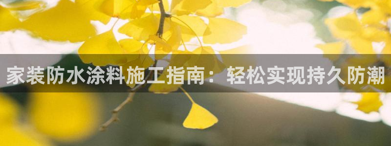 和记ag：家装防水涂料施工指南：轻松实现持久防潮