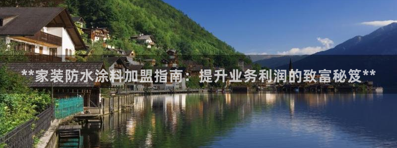 青岛大生和记餐饮管理有限公司：**家装防水涂料加盟指南：提升业务利润的致富秘笈**