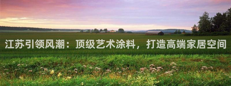 和记AG网站：江苏引领风潮：顶级艺术涂料，打造高端家居空间