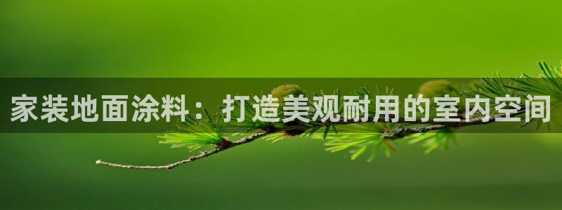 和记国际听