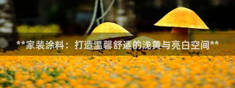 和记平台官方网：**家装涂料：打造温馨舒适的浅黄与亮白空间**