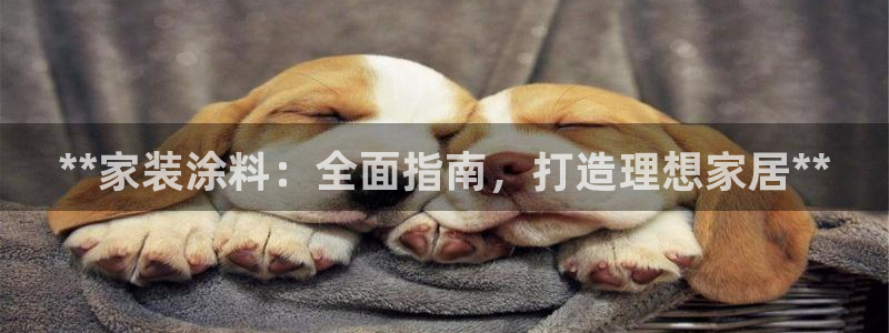 和记平台登陆：**家装涂料：全面指南，打造理想家居**