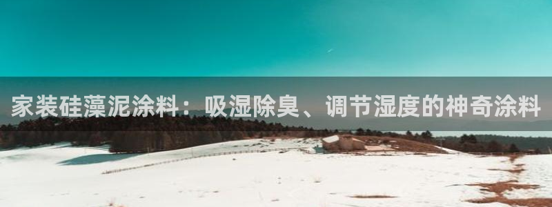 和记ag网址：家装硅藻泥涂料：吸湿除臭、调节湿度的神奇涂料