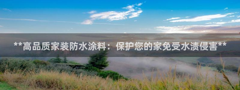 和记官网首页：**高品质家装防水涂料：保护您的家免受水渍侵害**