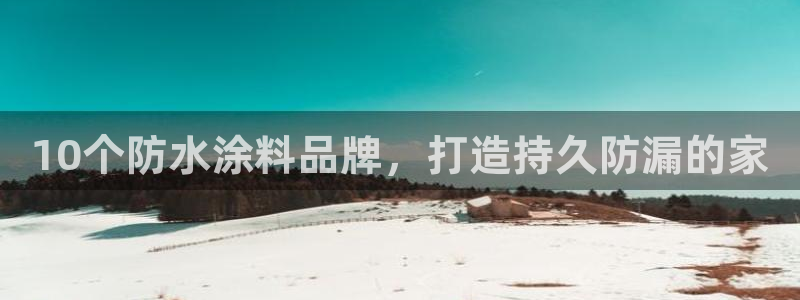 和记官方平台：10个防水涂料品牌，打造持久防漏的家