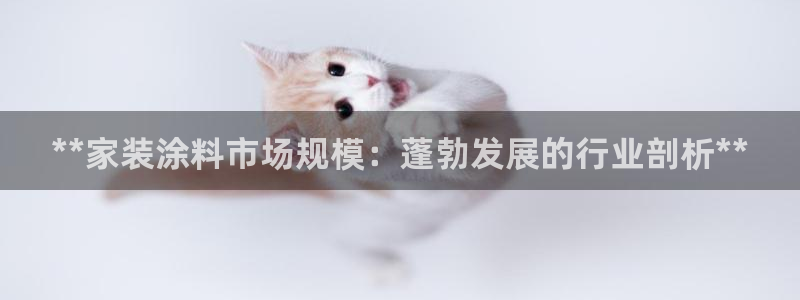 和记AG：**家装涂料市场规模：蓬勃发展的行业剖析**