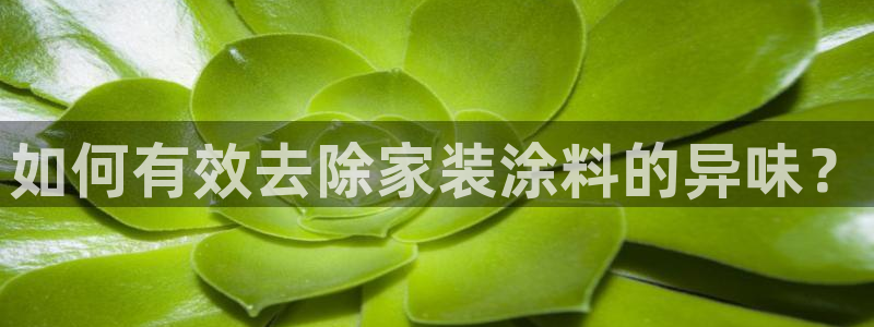 和记平台注册：如何有效去除家装涂料的异味？