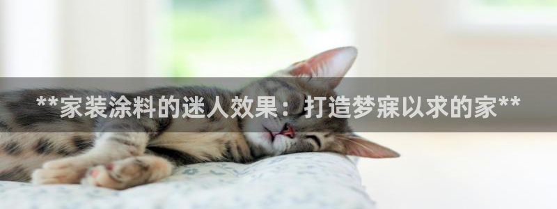和记官方直营注册：**家装涂料的迷人效果：打造梦寐以求的家*