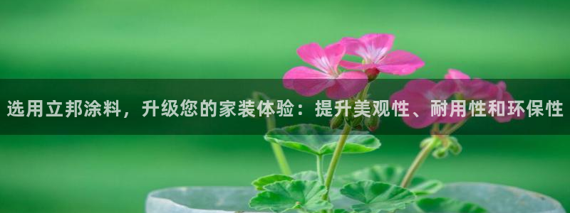 和记AG：选用立邦涂料，升级您的家装体验：提升美观性、耐用性