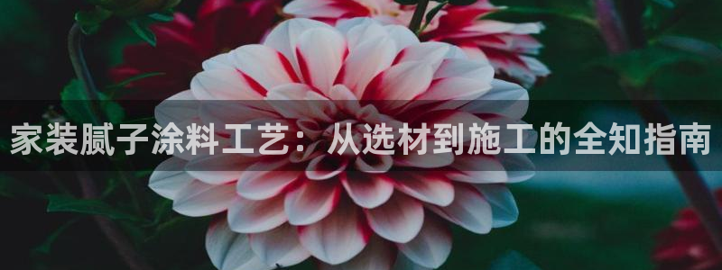 和记ag网址：家装腻子涂料工艺：从选材到施工的全知指南