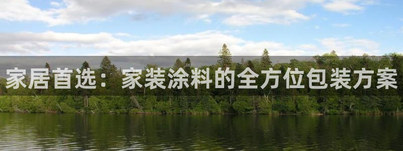 和记paging：家居首选：家装涂料的全方位包装方案