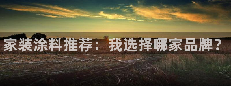 和记国际：家装涂料推荐：我选择哪家品牌？