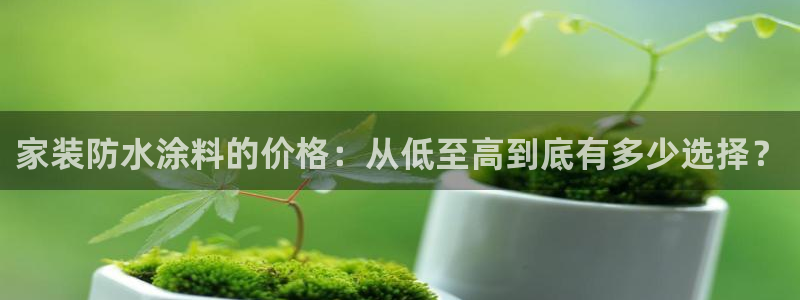 上海和记餐饮有限公司：家装防水涂料的价格：从低至高到底有多少