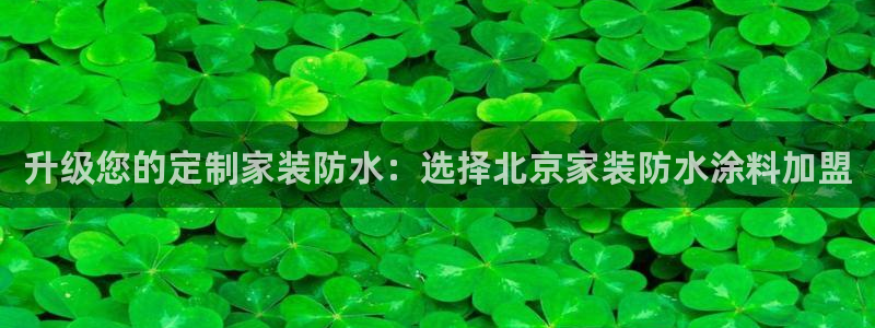 和记平台下载：升级您的定制家装防水：选择北京家装防水涂料加盟
