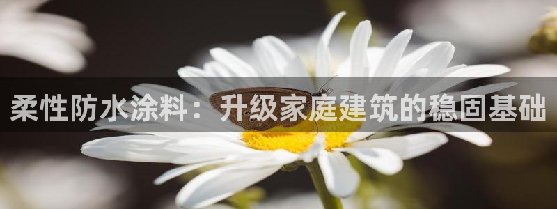 和记ag旗舰国际
