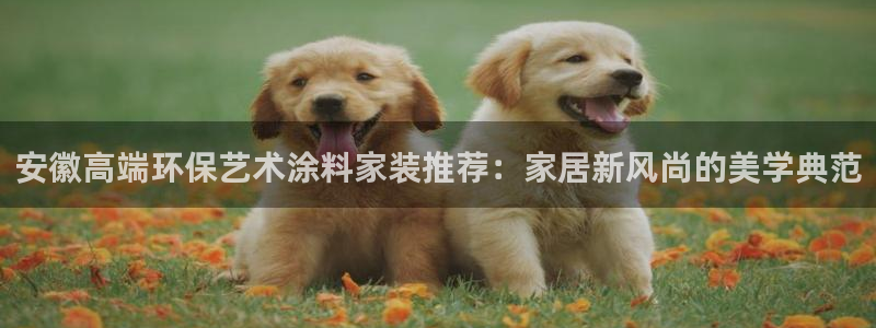 和记国际开户：安徽高端环保艺术涂料家装推荐：家居新风尚的美学