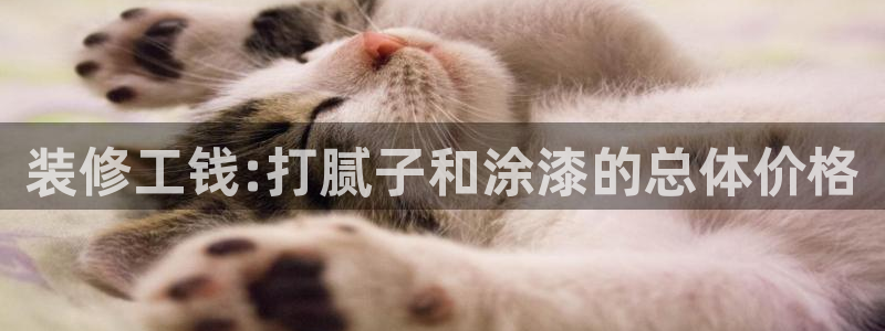 和记旗舰厅：装修工钱:打腻子和涂漆的总体价格