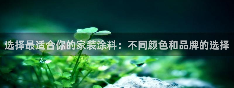 和记h188：选择最适合你的家装涂料：不同颜色和品牌的选择