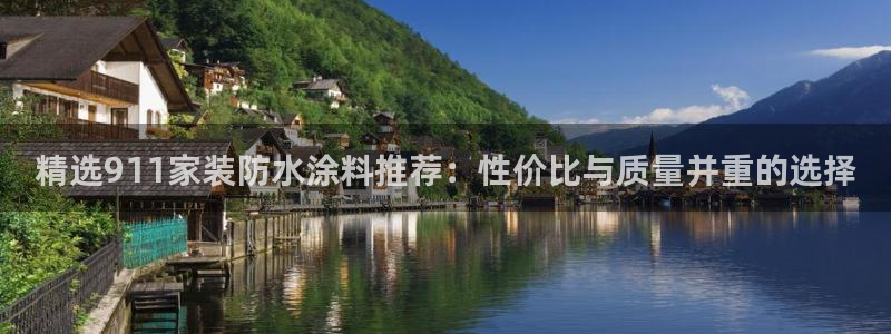 和记 中国官网：精选911家装防水涂料推荐：性价比与质量并重的选择