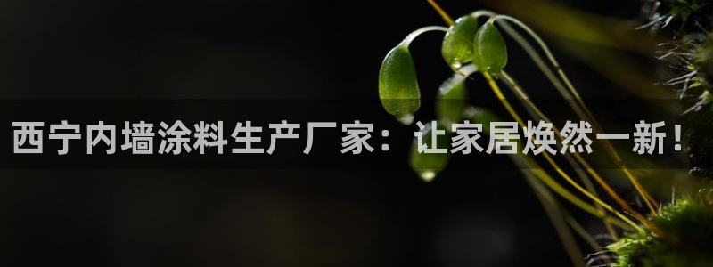和记国际听
