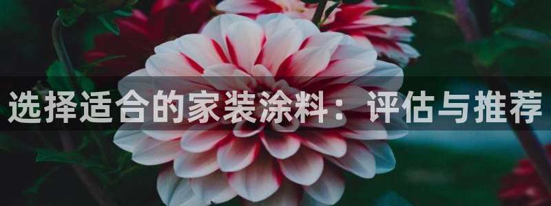 江苏和记数码科技有限公司