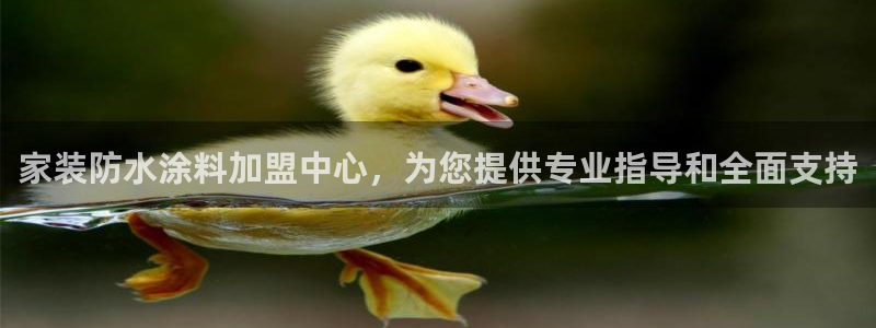 和记ag：家装防水涂料加盟中心，为您提供专业指导和全面支持