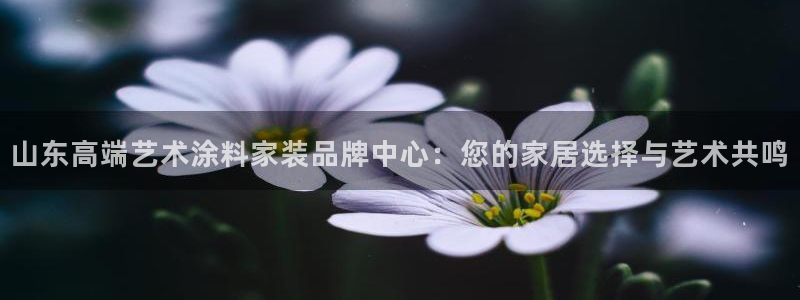 和记官方网站：山东高端艺术涂料家装品牌中心：您的家居选择与艺