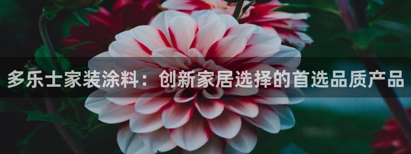 和记旗舰厅：多乐士家装涂料：创新家居选择的首选品质产品