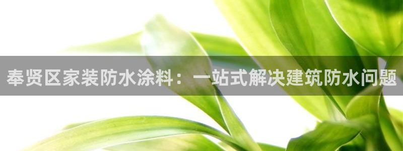 和记下载：奉贤区家装防水涂料：一站式解决建筑防水问题