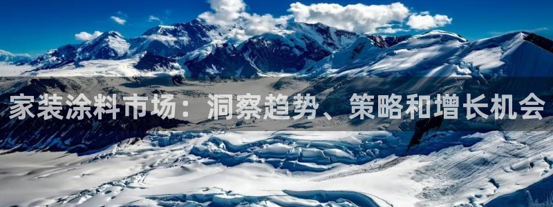 和记 中国官网：家装涂料市场：洞察趋势、策略和增长机会