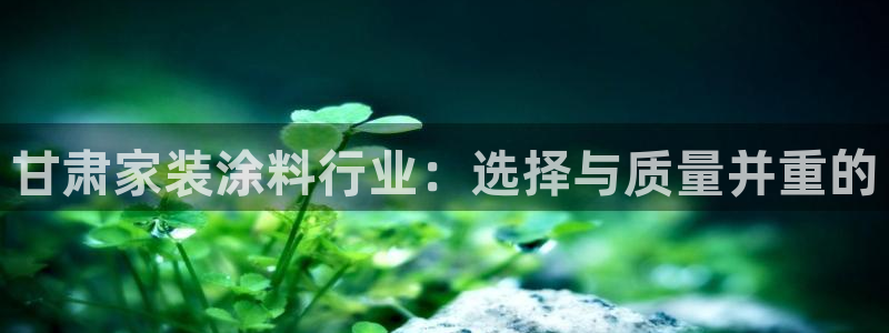 和记国际官网官网：甘肃家装涂料行业：选择与质量并重的