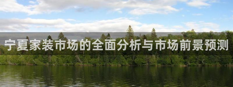 和记官网登陆:宁夏家装市场的全面分析与市场前景预测