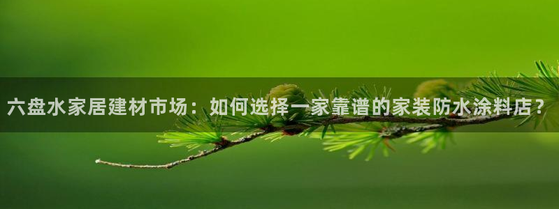 和记pc：六盘水家居建材市场：如何选择一家靠谱的家装防水涂料店？