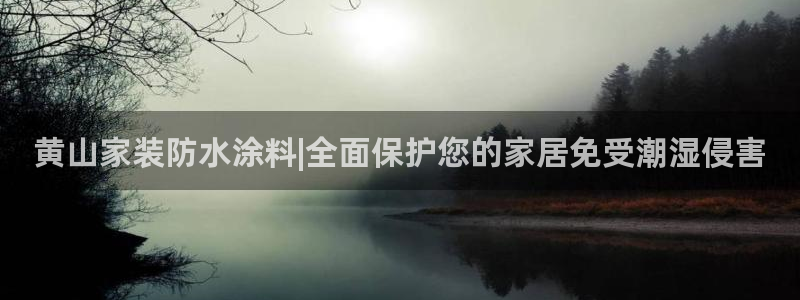 和记ag网址：黄山家装防水涂料|全面保护您的家居免受潮湿侵害