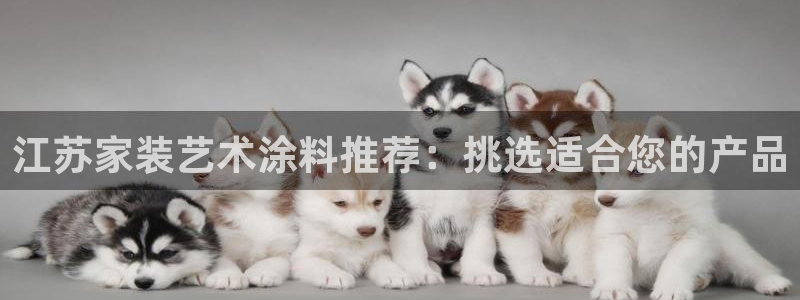 和记 中国首页：江苏家装艺术涂料推荐：挑选适合您的产品