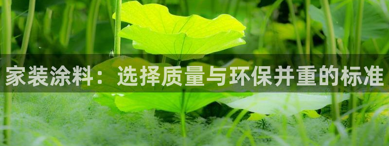 和记Ag：家装涂料：选择质量与环保并重的标准