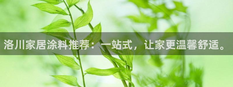 和记 首页：洛川家居涂料推荐：一站式，让家更温馨舒适。